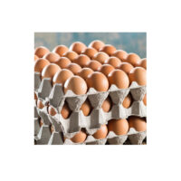 SUNNY QUEEN EGGS CAGE CATERING PACK (15DOZ)