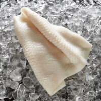 TOPSAIL U/3 PINE SQUID FILLET 1(2X5KG)