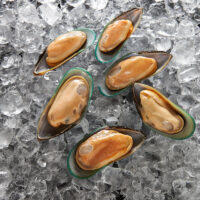SANFORD 1/2 SHELL MUSSELS MEDIUM 10X1KG