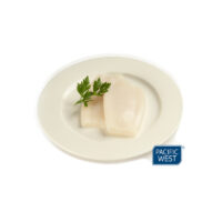 PAC/WEST (BLUE) TENDER SQUID TUBE U/5 5KG 5972